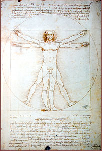 Holistic health circle and lifestyle wellness