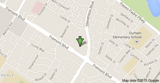 Google Map location for Master Homeopathy at 3909 Stevenson Blvd, Fremont, CA